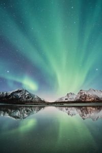 Hurtigruten vs HX Norway Voyages: What’s the Difference?